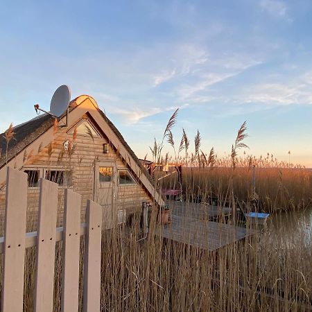 Seehuette Neusiedlersee - Pfahlbau Waterfront 1 רוסט מראה חיצוני תמונה